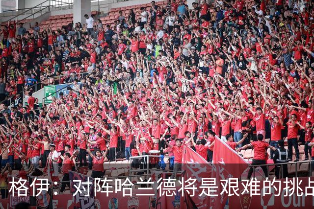 格伊：对阵哈兰德将是艰难的挑战，但我们会竭尽全力争取胜利