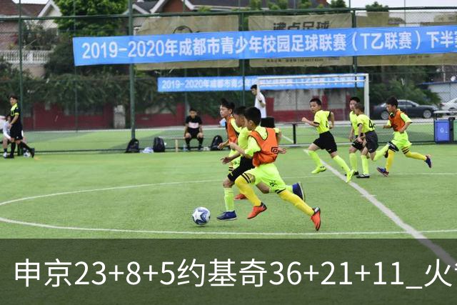 申京23+8+5约基奇36+21+11 火箭险胜掘金6连胜
